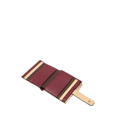 GELDTASCHE METALLIC TRICOLOR
