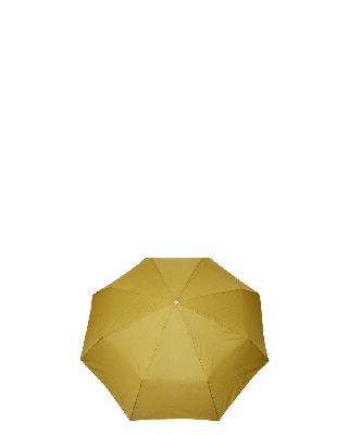ck1203_mustard_yellow_1.jpg