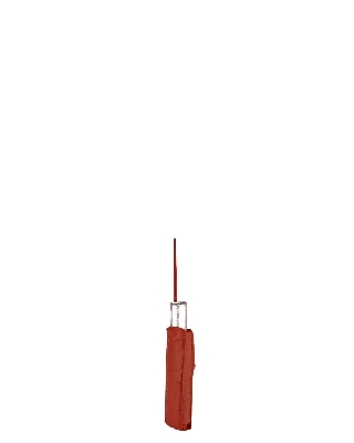 ck1203_tomato_1.jpg