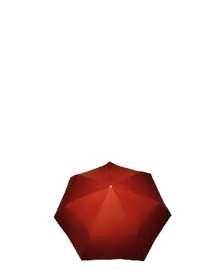 ck1213_tomato_1.jpg