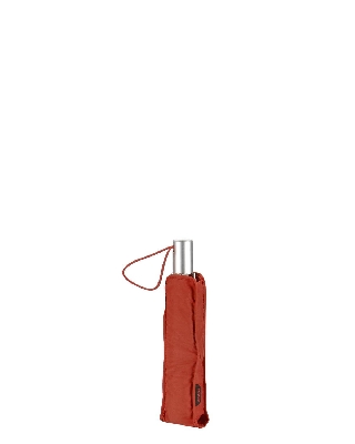 ck1213_tomato_2.jpg