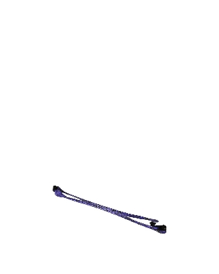 obhsnf_04_viola_1.jpg