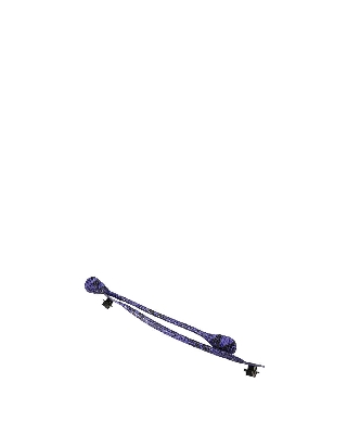 obhsnfs_04_viola_1.jpg