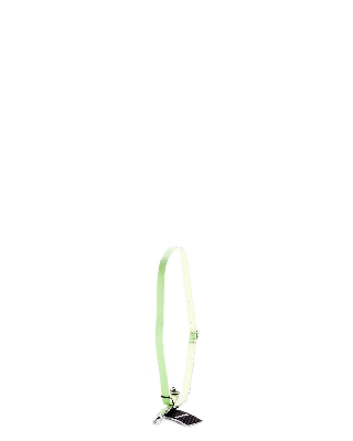 shoux000-ecs07_587_celery_green_1.jpg
