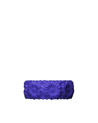 obrcd003-sis00_015_blu_iris_1.jpg
