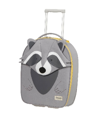 kd7006_raccoon_remy_1.jpg