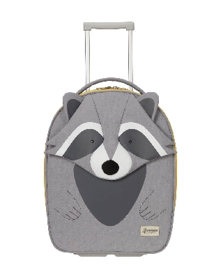 kd7006_raccoon_remy_2.jpg
