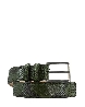 PYTHON-GÜRTEL