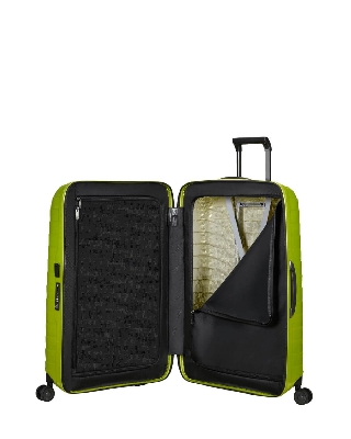 cw6003_lime_4.jpg