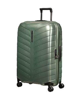 kk8004_basil_green_1.jpg