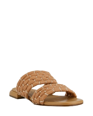 14026_camel_1.jpg