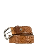 BELT DOUGLAS