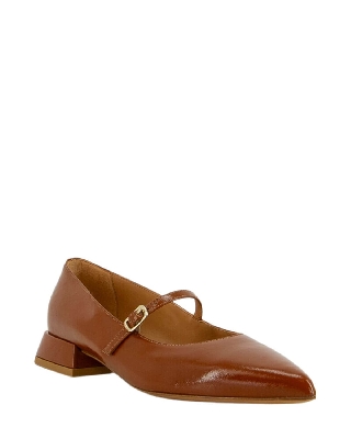 rl7002_camel_1.jpg