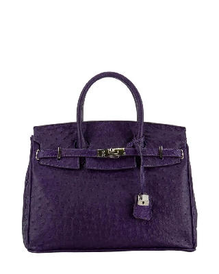 vsst1119_viola_1.jpg