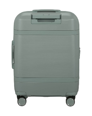 kq5001_thyme_3.jpg